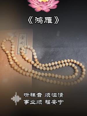 《清音菩提》听禅音,烦恼清,事业顺,福安宁.#国乐 #音乐 #古筝