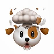 狗哥的视界