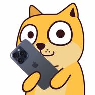 小白来了