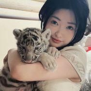 抖音涨粉榜萌宠排行榜第19名宫百万
