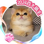 牛奶是只貓