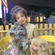 剪狗毛的简小姐