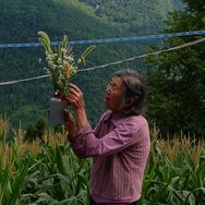 张奶奶的世外桃源生活