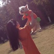 西高地Papi妈妈（倒计时版）