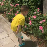 梣妈小厨房