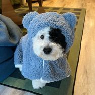 奥利奥🍪有点甜