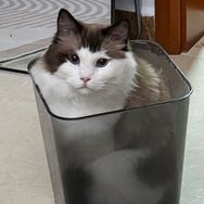 何瑶不是何小鱼