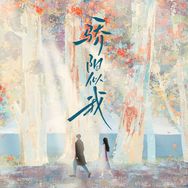 电视剧骄阳似我