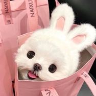 笑熙熙💕