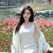 傅美美