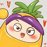 李正（菠萝吹雪🍍）