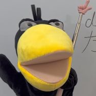 鸦鸦学语