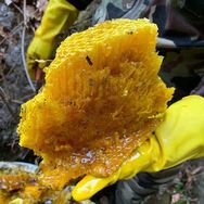 海口龙华区庄忻百货商行