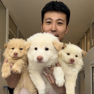 抖音涨粉榜萌宠排行榜第17名壮壮土松