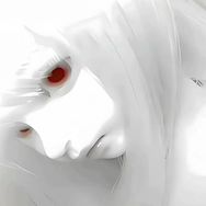 灰灰