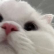 李秋然