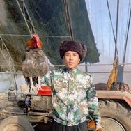 东北鑫元（大学生养鸡）
