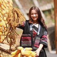 莲妹妹（贵州）