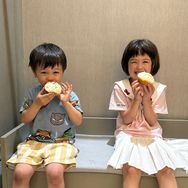 小黄圆滚滚儿