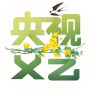 央视文艺