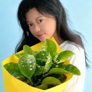 芳酱吖（丽姐团队）