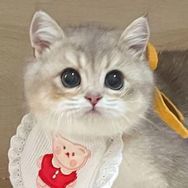 麻薯仔仔