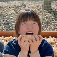 李壮家的猫波波