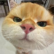 小余养宠日记