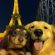 婆婆丁大王&财神酱