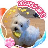 雪糕长不高