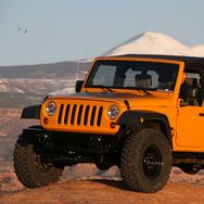 小虎户外冲冲冲