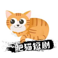 肥猫追剧