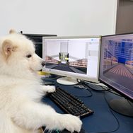 可乐是个建筑师