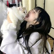 励莞电子