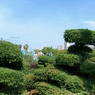 福禄康瑞