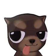 喵生ฅ（洗袜袜本袜）