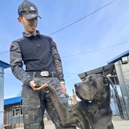 佳木斯小乐训犬学校