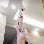 宝安💕