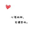 洒洒是潇洒的洒