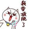 Tony·轮子·ZSL✨🌙✨