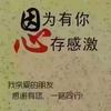 ⚡️感恩🙏ᴺᴸ⁹⁹