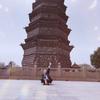 蔷 •薇