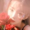 叶子୧⍤⃝🌱