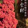 紫罗兰