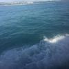 涛声依然在