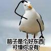 花有重开日，人无再少年