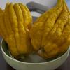 青子青青（聂小妹待授权）