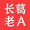 长葛老A旅游