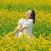嘉兴朵朵