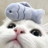 小鱼🐟（天宗宗）